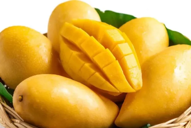 Mango Tayland'ın en iyi meyvelerinden birisi olan meyvedir.