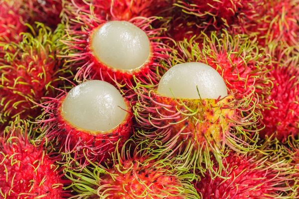 Rambutan Tayland'ın en iyi meyvelerinden birisi olan meyvedir.