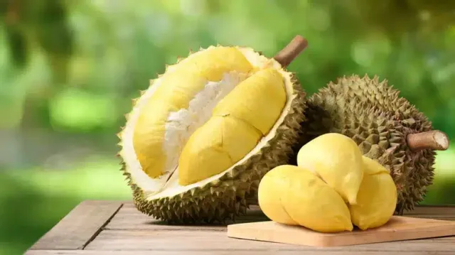 Durian Meyvesi "Tadı Cennetten Kokusu Cehennemden gelen Meyve" diye tabir edilen bir meyve.